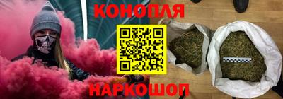 гидропоника Новокубанск