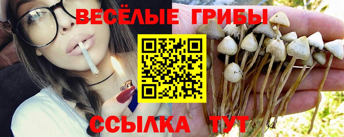 Тосно  Галлюциногенные грибы мухоморы  Вход с VPN 